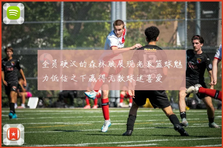 全员硬汉的森林狼展现老派篮球魅力低估之下赢得无数球迷喜爱
