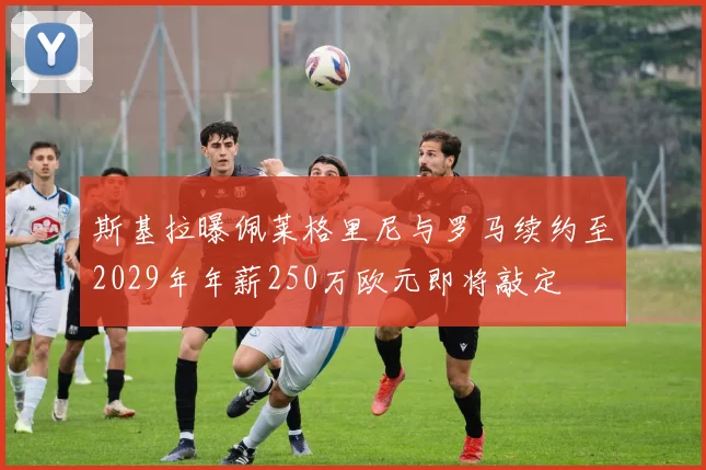 斯基拉曝佩莱格里尼与罗马续约至2029年年薪250万欧元即将敲定
